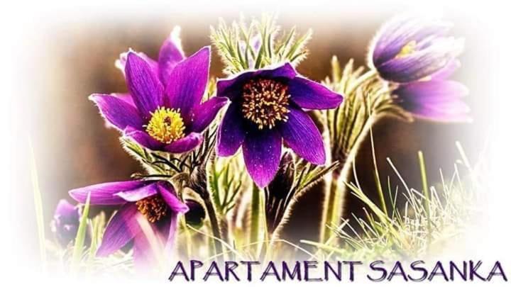 Apartament Sasanka Kowary Kültér fotó